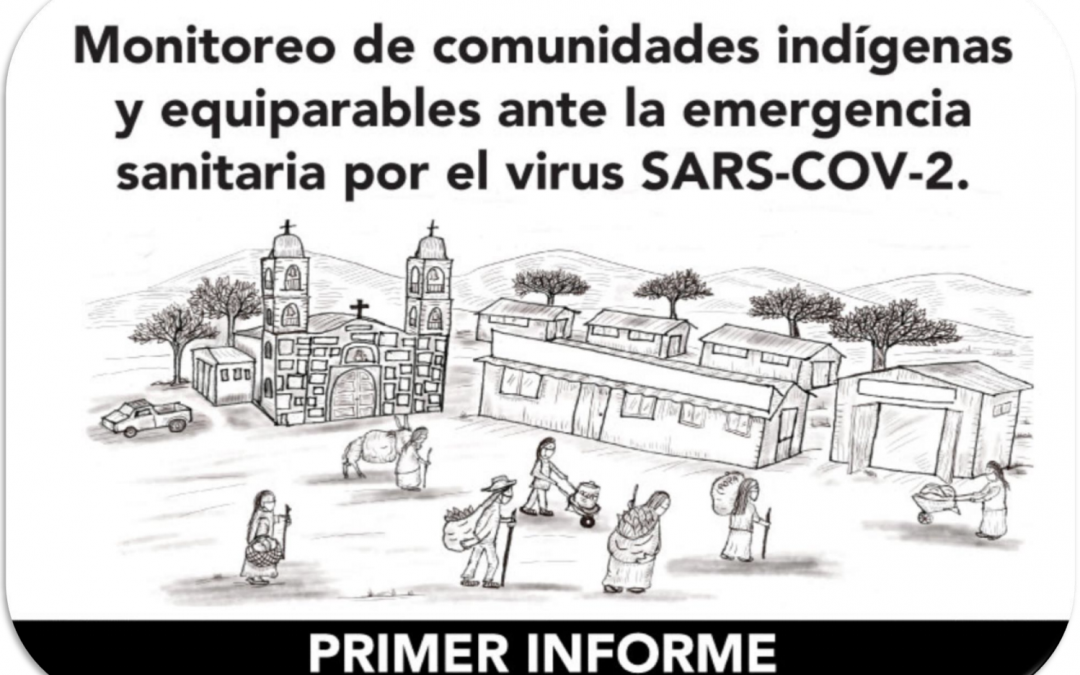 PRIMER INFORME: Monitoreo de comunidades indígenas ante la emergencia sanitaria por el virus SARS-COV-2
